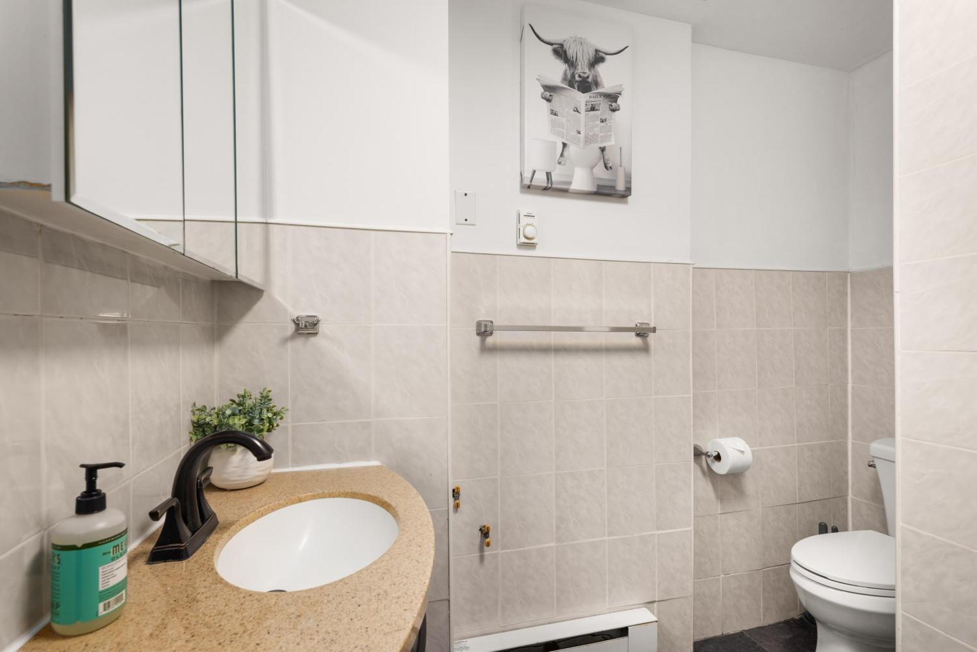 Spacious 3 Bedroom Gem In Trendy Dumbo! Appartement